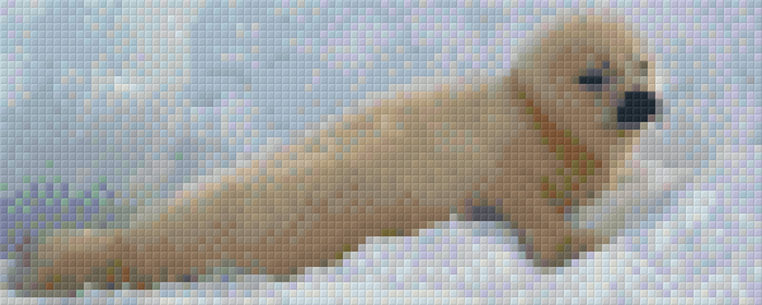 Baby Seal Two [2] Baseplate PixelHobby Mini-mosaic Art Kit image 0